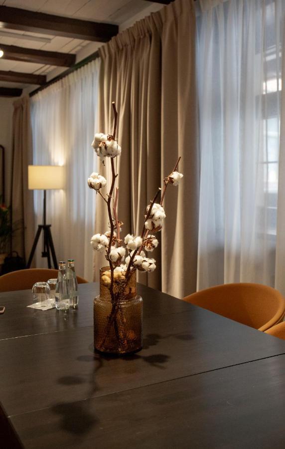 Apartamenty Sowa Stary Toruń Екстериор снимка