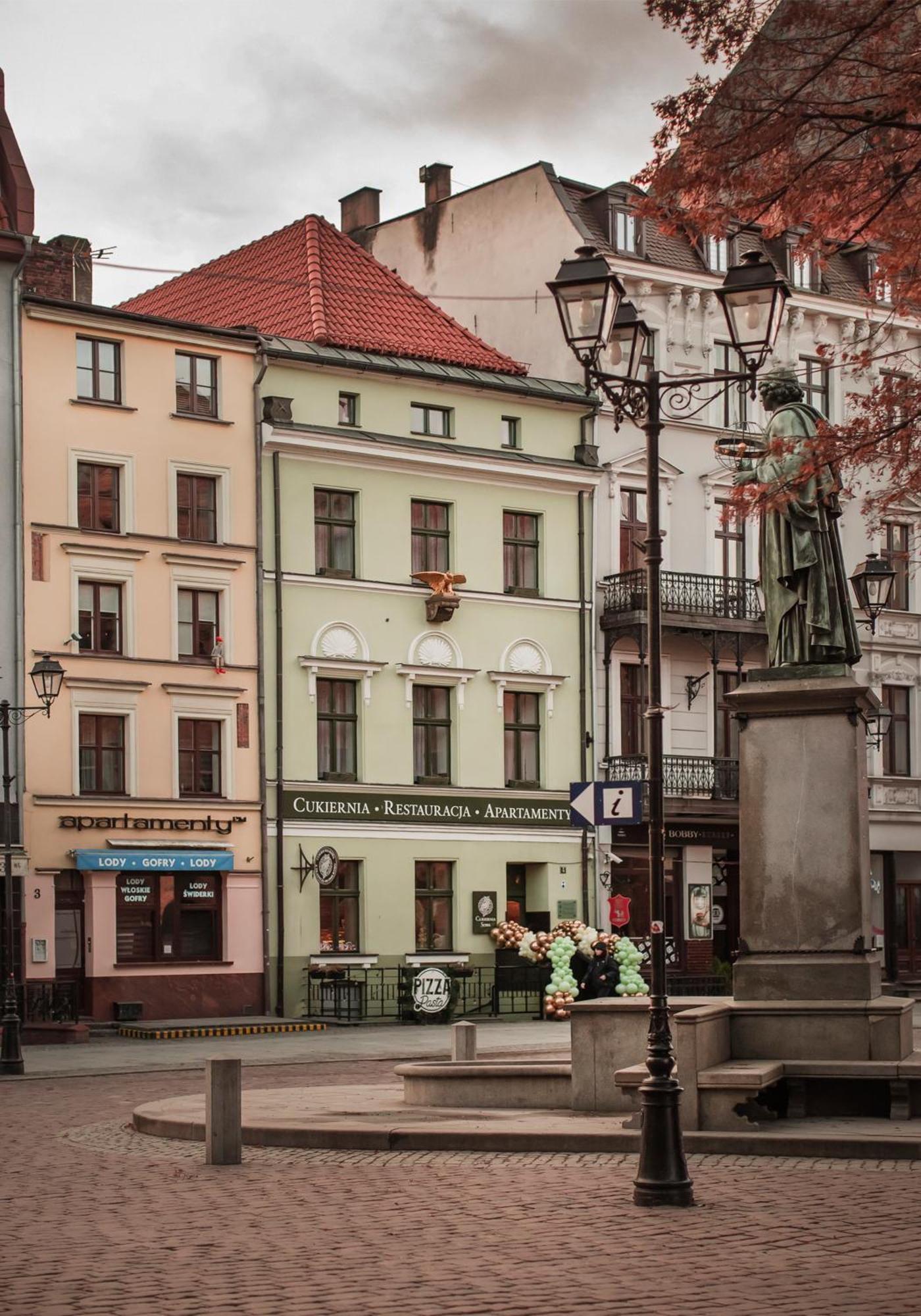 Apartamenty Sowa Stary Toruń Екстериор снимка